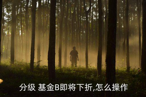 分級(jí)基金b怎么賣出,郭芙中證軍工指數(shù)分級(jí)b基金的走勢