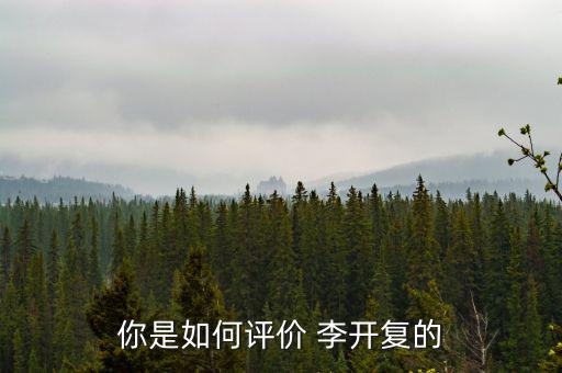 李開(kāi)復(fù)初怎么樣患癌,我和李開(kāi)復(fù)的創(chuàng)新工廠沒(méi)有什么共同之處