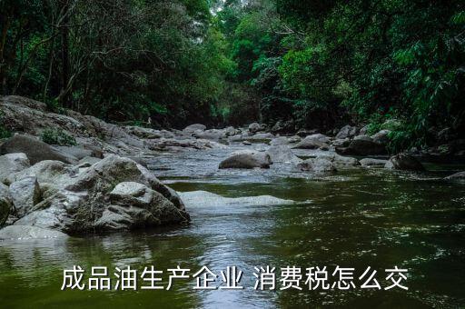 成品油消費稅怎么交,政府將從今年頭九個月收集消費稅