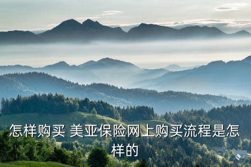 美亞保險(xiǎn)怎么報(bào)險(xiǎn),春運(yùn)如何購買保險(xiǎn)?可在線投保、索賠