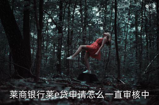 萊商貸怎么樣,商業(yè)銀行惡來貸款申請(qǐng)流程