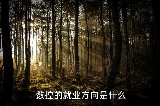 法因數(shù)控怎么樣,數(shù)控設備管理高級技術(shù)型、應用型專業(yè)人才