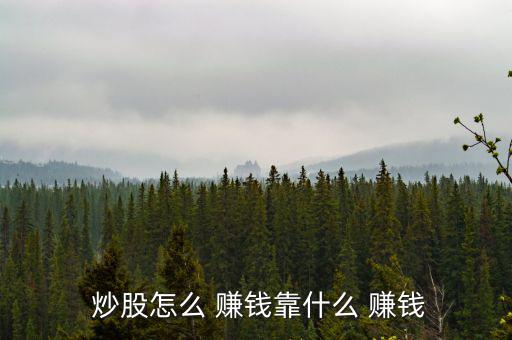 美國個人炒股怎么賺錢,美股堅毅向前預測