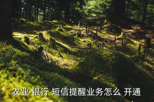 農(nóng)行短信銀行怎么開通,銀行card短信業(yè)務(wù)提醒開通三步驟!