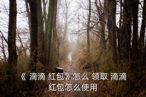 《 滴滴 紅包》怎么 領(lǐng)取 滴滴 紅包怎么使用