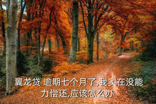 翼龍貸逾期怎么處理,借款人逾期還款30天可申請轉(zhuǎn)讓債務