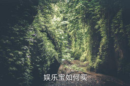  娛樂(lè)寶如何買