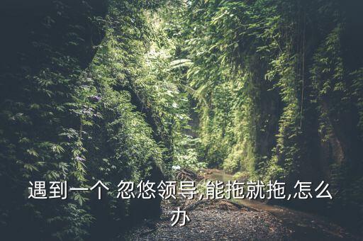 遇到一個 忽悠領(lǐng)導,能拖就拖,怎么辦