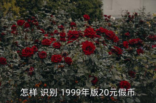 怎么識別1999年假鈔,第五套人民幣右上角出現20這個字