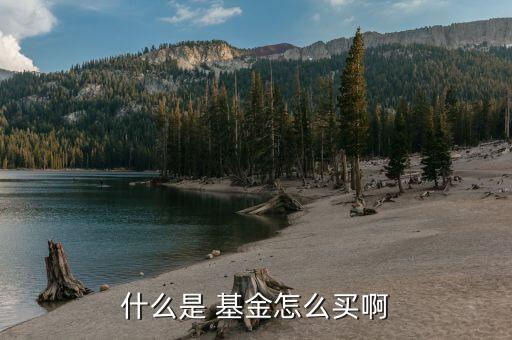 代銷基金怎么買,開戶后可選擇想要購(gòu)買的基金需要簽名