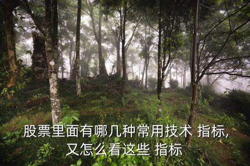 股票強(qiáng)勢(shì)股怎么看指標(biāo),周一開(kāi)盤(pán)可關(guān)注重點(diǎn)關(guān)注熱點(diǎn)
