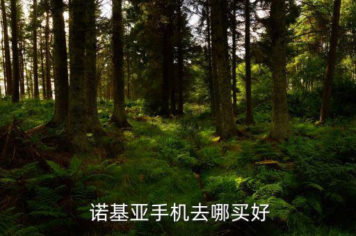  諾基亞手機(jī)去哪買(mǎi)好