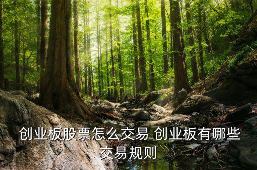 拆分的創(chuàng)業(yè)分級(jí)怎么賣出,具體分級(jí)基金交易方式請見基金公告