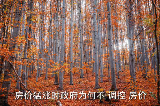 房價調控怎么沒用,經濟泡沫若破滅房價會變得平易近人