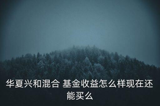 華夏興和混合 基金收益怎么樣現(xiàn)在還能買么