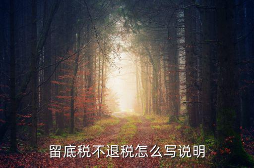退抵稅說明書怎么寫,退稅抵稅申請確認書、小額退稅憑證