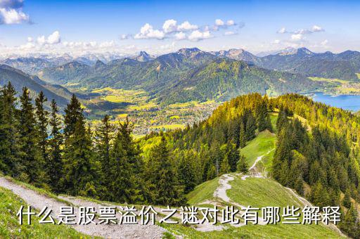 股票溢價是什么意思，什么是股票溢價之謎對此有哪些解釋