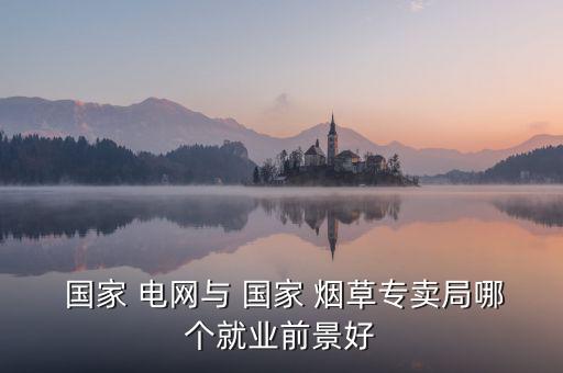  國家 電網(wǎng)與 國家 煙草專賣局哪個就業(yè)前景好