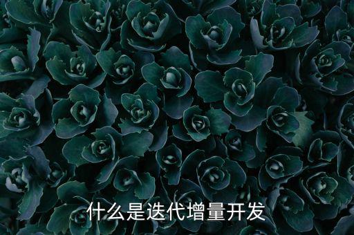 什么是增量發(fā)展，物理意義上的增量是什么意思