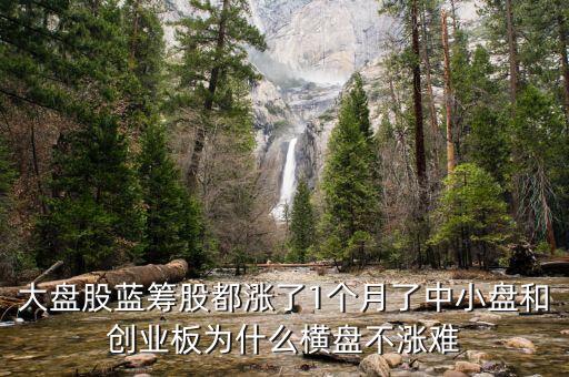 大盤(pán)股藍(lán)籌股都漲了1個(gè)月了中小盤(pán)和創(chuàng)業(yè)板為什么橫盤(pán)不漲難