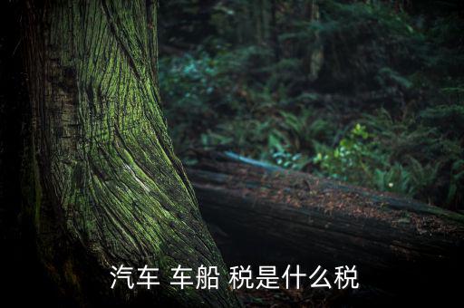 汽車車船稅是怎么樣,車船稅是對車輛、船舶征收的稅
