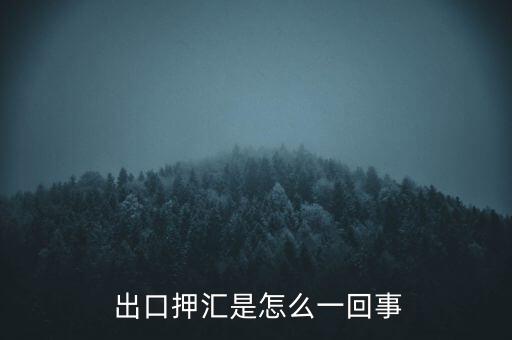 出口時代網怎么樣,出口票據議付需要注意什么?