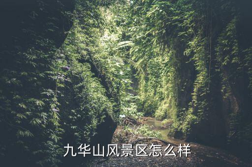 九華山旅游學校怎么樣,池州職業(yè)技術學院前身是池州市農(nóng)業(yè)學校