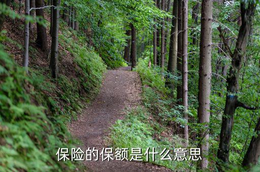 保險保額是什么意思，保險里的保額是啥意思