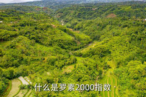 平安羅素是什么，平安epass是什么東西