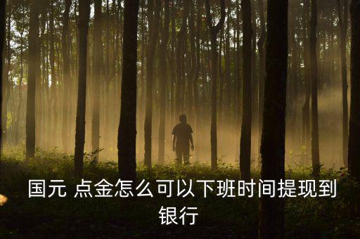 蕪湖國元點金怎么登錄,國元點金如何進(jìn)行轉(zhuǎn)賬