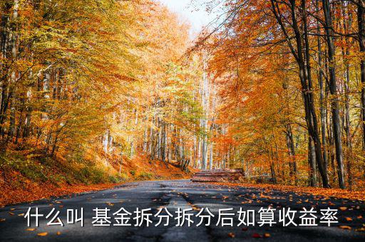 上拆的基金怎么計算,基金按1:2比例拆分后凈值變成1元