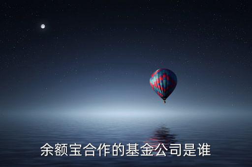 余額寶投資過(guò)什么公司，余額寶合作的基金公司是誰(shuí)