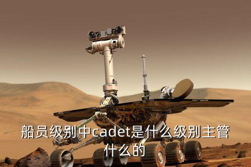 中船總經(jīng)理什么級別，中國船舶總公司總經(jīng)理啥級別