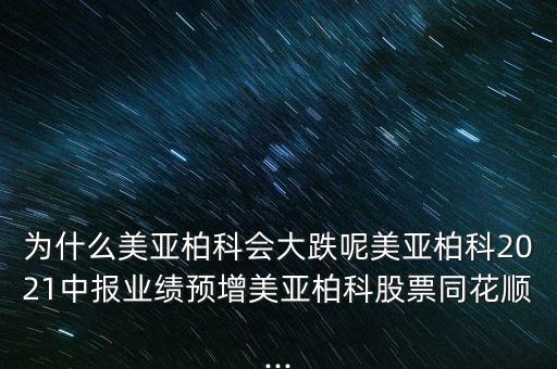 美亞桕科怎么停盤了呢,網(wǎng)絡安全優(yōu)質(zhì)企業(yè)美亞貝克正式成立