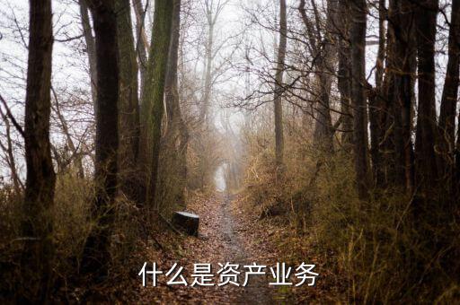 什么是大資產(chǎn)業(yè)務(wù)，商業(yè)銀行三大支柱業(yè)務(wù)是什么