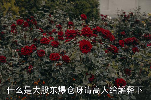 大股東爆倉什么意思，什么是大股東爆倉呀請高人給解釋下