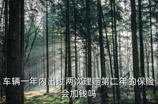 一年中兩次事故理培有什么影響，車輛一年內(nèi)出過(guò)兩次理賠第二年的保險(xiǎn)會(huì)加錢嗎
