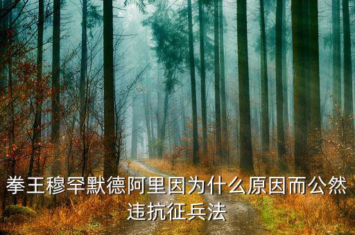 默罕默德阿里現(xiàn)在是在干什么，拳王穆罕默德阿里因為什么原因而公然違抗征兵法
