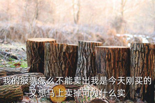 我的股票怎么不能賣出我是今天剛買的又想馬上賣掉可為什么實