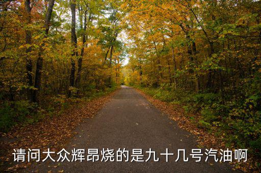 什么車燒90號(hào)汽油，請(qǐng)問大眾輝昂燒的是九十幾號(hào)汽油啊