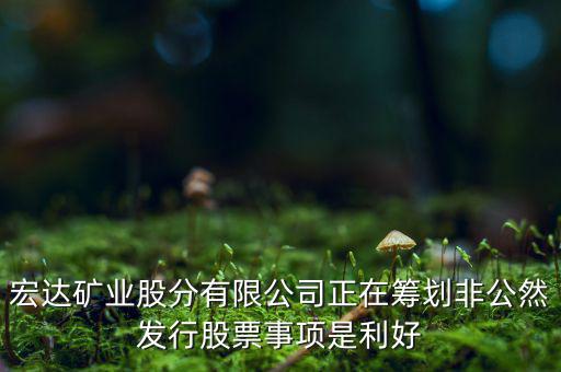 宏達(dá)礦業(yè)什么重大事項(xiàng)，請(qǐng)教600687停盤(pán)說(shuō)是因?yàn)楹藢?shí)公司相關(guān)重大事項(xiàng)這個(gè)重大事項(xiàng)有知