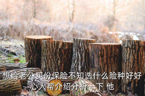 夫妻買什么保險(xiǎn)好，想給老公買份保險(xiǎn)不知選什么險(xiǎn)種好好心人幫介紹分析一下 他