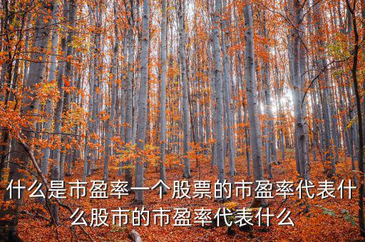 平均市盈率說明什么，什么是市盈率一個股票的市盈率代表什么股市的市盈率代表什么
