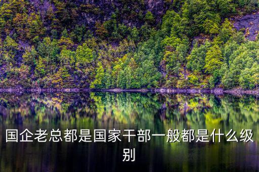 中交地產(chǎn)總經(jīng)理屬于什么級(jí)別干部，國(guó)企老總都是國(guó)家干部一般都是什么級(jí)別