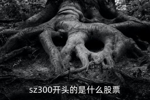 sz開頭的是什么股票，sz300開頭的是什么股票