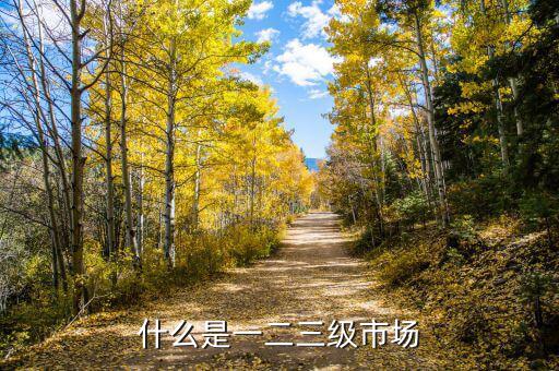 什么是一級市場，房地產(chǎn)一級市場是什么意思