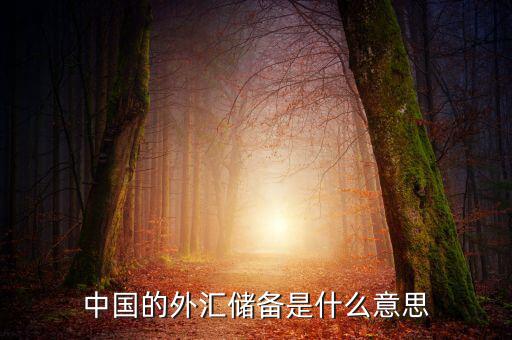 中國(guó)外匯儲(chǔ)備包括什么，我國(guó)外匯儲(chǔ)備