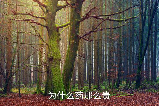為什么藥價(jià)那么貴，醫(yī)藥費(fèi)為什么那么貴