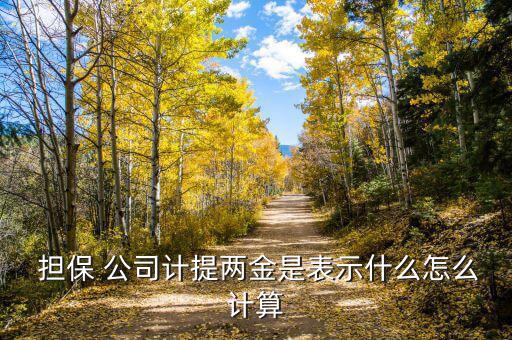 擔(dān)保公司獎(jiǎng)金怎么算,傭金結(jié)算金額是按照當(dāng)前合同付款比例計(jì)算