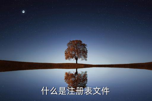 什么是注冊(cè)制，化妝品注冊(cè)是什么